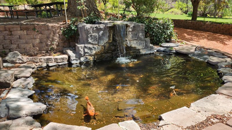 A Koi Fish Pond With a Garden Waterfall Tucked in the Canyon A Koi Fish Pond With a Garden Waterfall Tucked in the Canyon