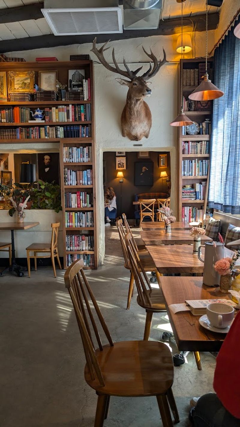 A Literary Atmosphere That Feels Truly Magical