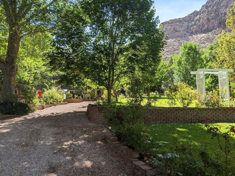 A Lush Green Oasis That Feels Nothing Like the Nevada Desert A Lush Green Oasis That Feels Nothing Like the Nevada Desert
