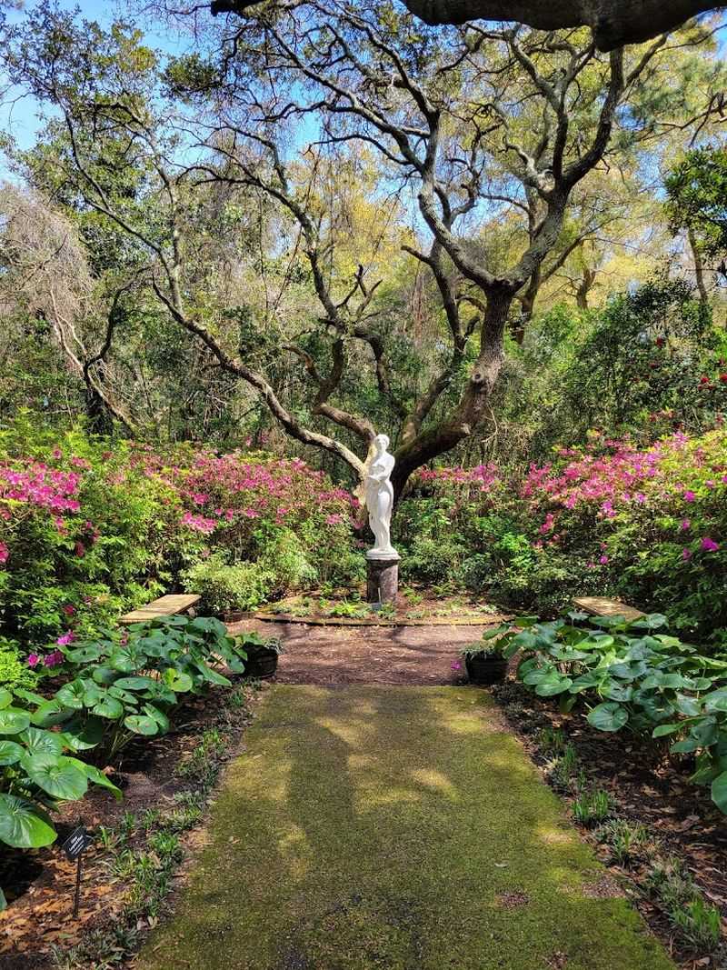 A Magical Fairy Scavenger Hunt for Families