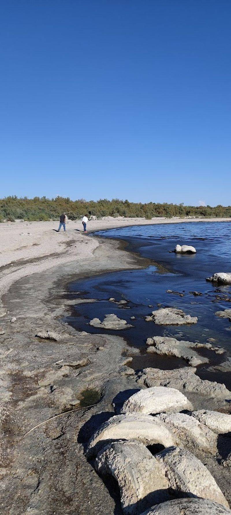 A Man-Made Sea With a Wild, Unexpected History