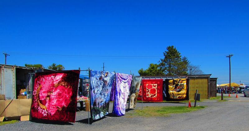 A Massive Outdoor Setup That Surprises First-Time Visitors