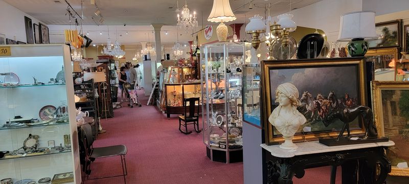 A Massive Selection That Feels Like a Museum