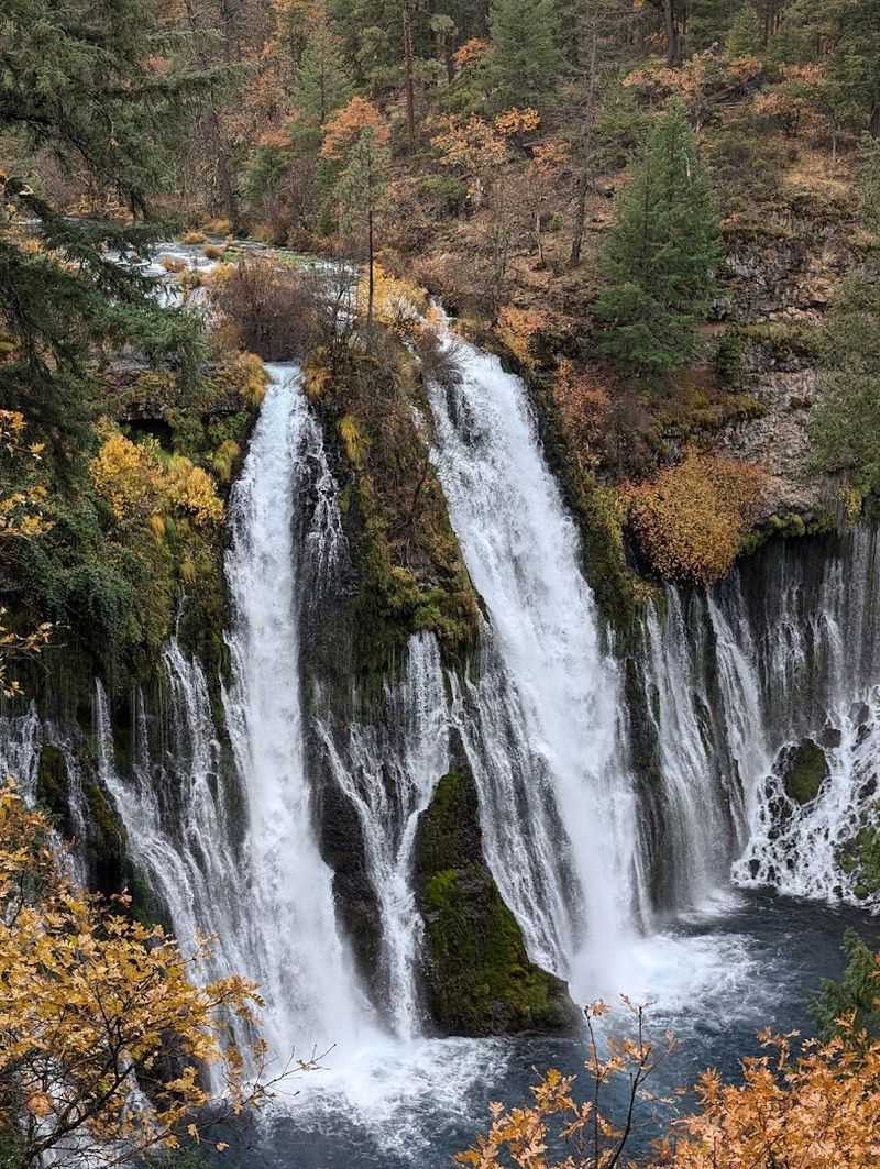 A Multi-Sensory Nature Experience Like No Other