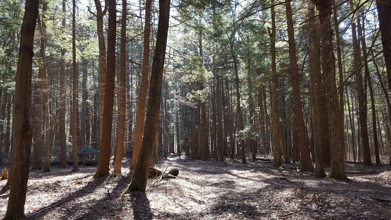 A Natural Area Designation That Keeps the Wild Places Wild A Natural Area Designation That Keeps the Wild Places Wild