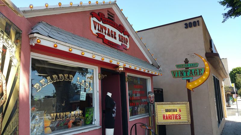 A Neighborhood Worth Exploring on Magnolia Boulevard