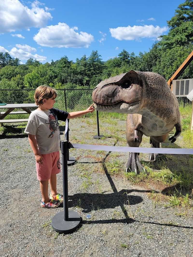 A Park Built for Repeat Visits and Lasting Family Memories
