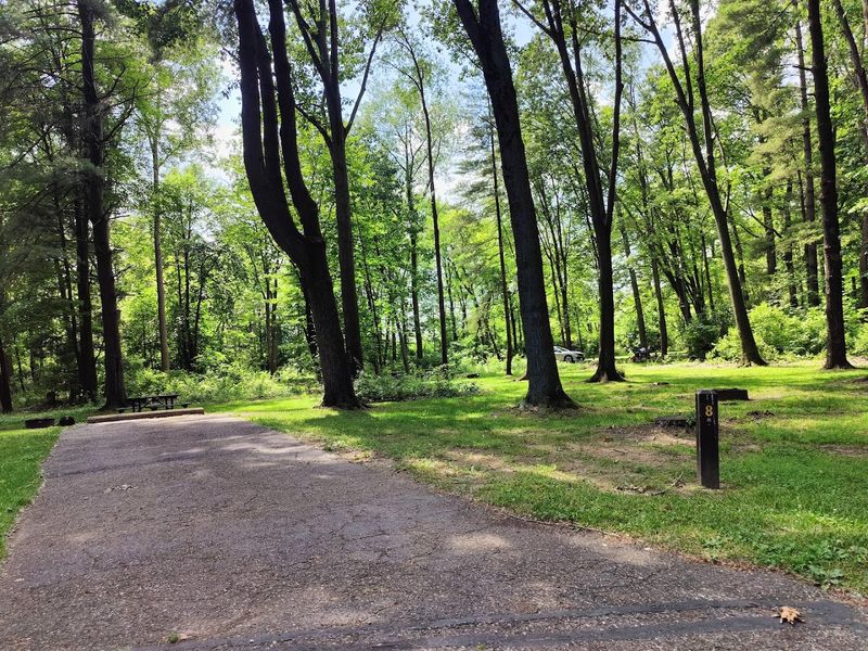 A Park That Stays Beautiful Because the Community Cares A Park That Stays Beautiful Because the Community Cares