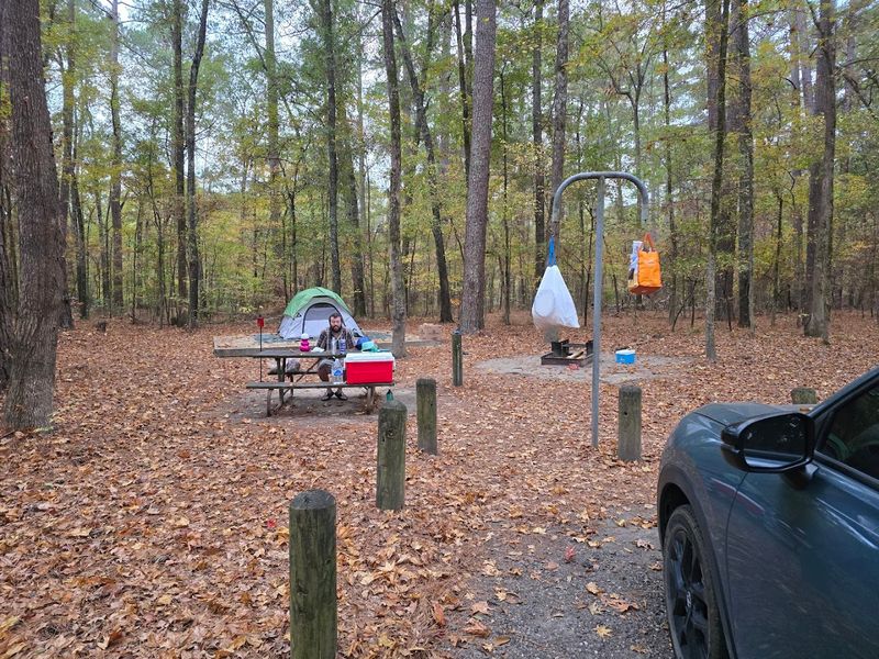 A Park That Welcomes Every Kind of Visitor