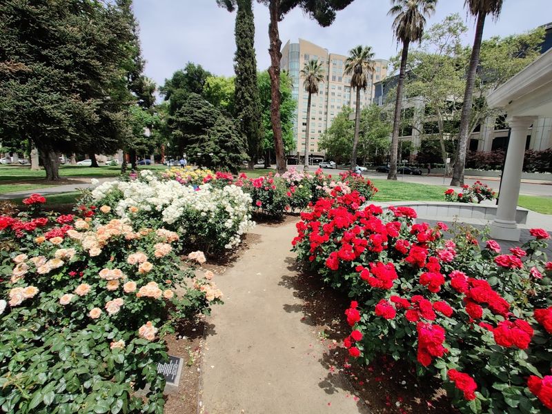 A Peace-Themed Sanctuary Right in the Heart of Sacramento