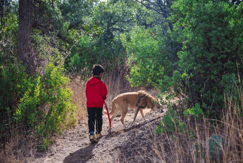 A Peaceful, Dog-Friendly Escape With Wide Trails and Open Sightlines