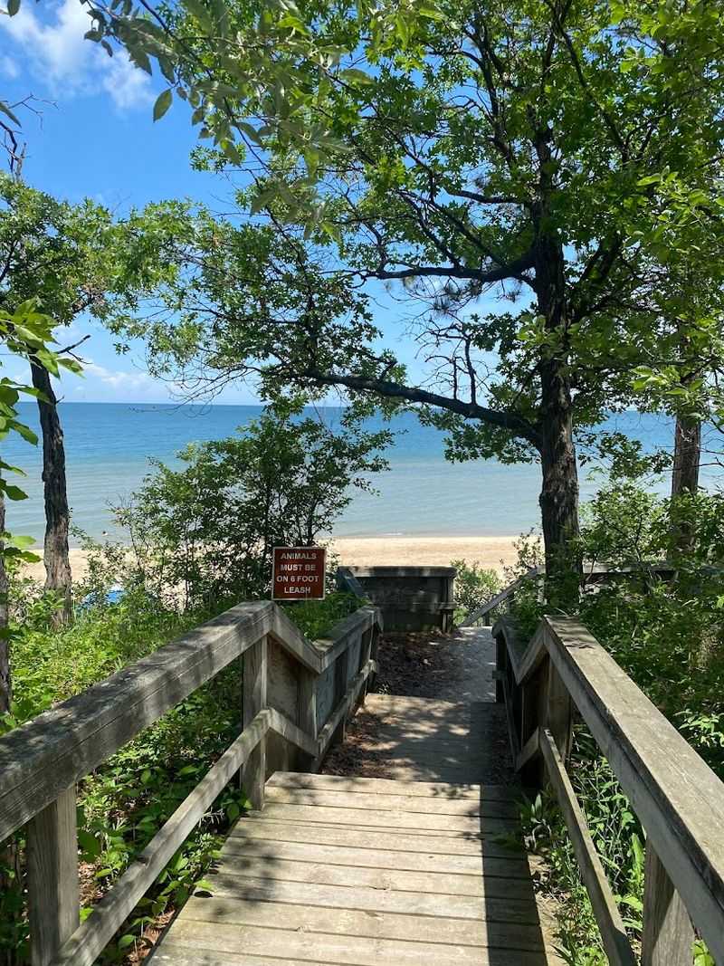 A Peaceful Escape Without Driving Far