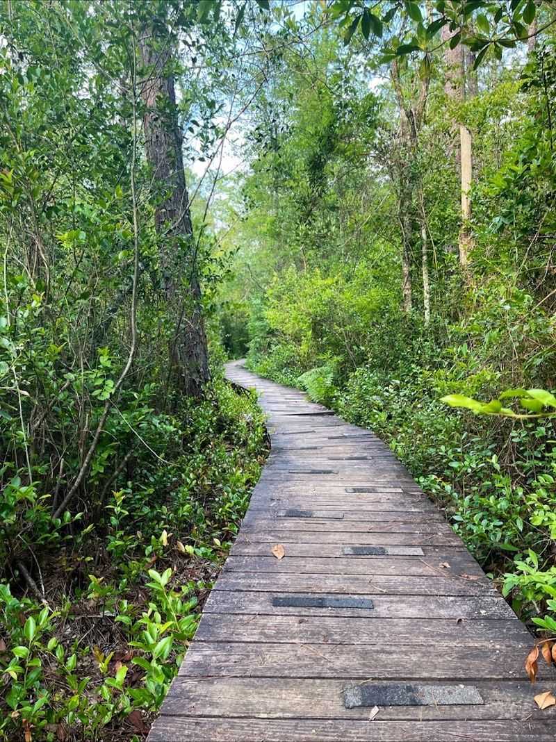 A Peaceful Escape from City Life