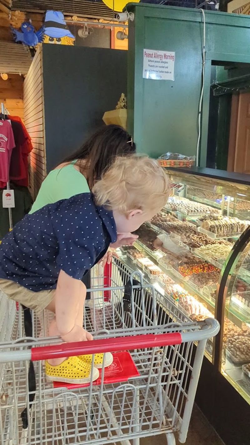 A Pet Store Section With Fish, Dogs, and Supplies