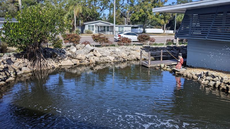 A Pond, Fish Feedings, and Photo Ops Galore