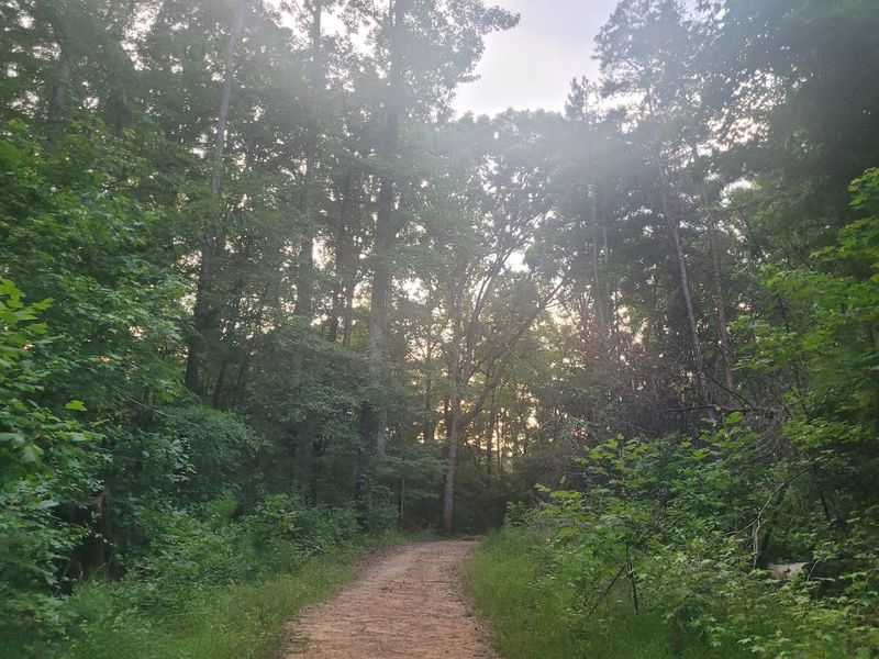 A Quiet Walk When Hunting Season Is Over