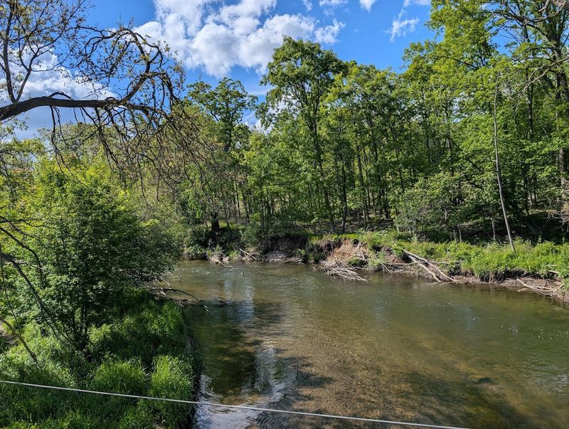 A Real River Running Through the Park for Fishing and Nature Watching A Real River Running Through the Park for Fishing and Nature Watching