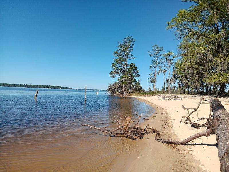 A River Beach Hidden Inside the Forest
