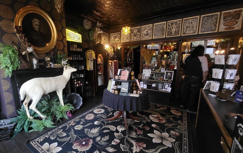 A Shop That Doubles as an Oddities Gallery