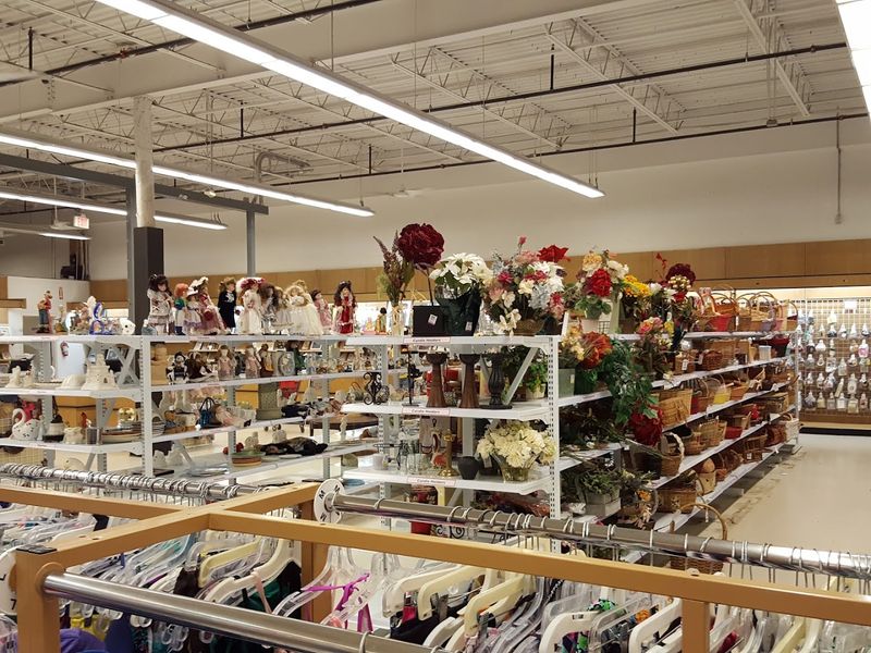 A Shopping Experience That Rewards Patience and Curiosity
