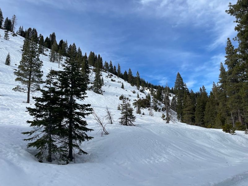 A Ski History That Dates Back to the 1860s