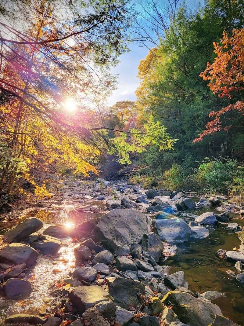 A Slower Pace of Life That Restores Your Energy