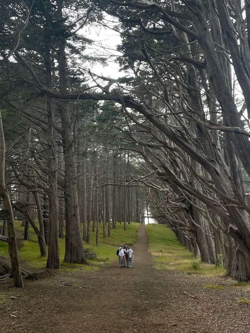 A Spot That Feels Both Natural and Artificially Magical