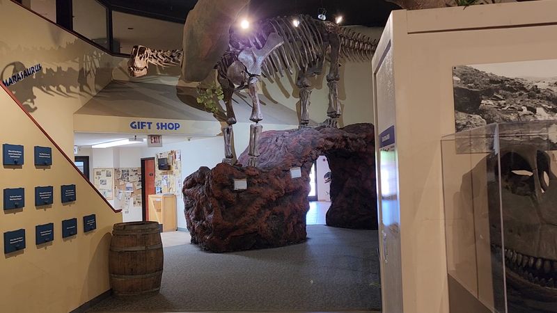 A Surprisingly Fun Gift Shop