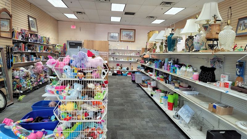 A Toy Section Full of Fun for Kids and Collectors