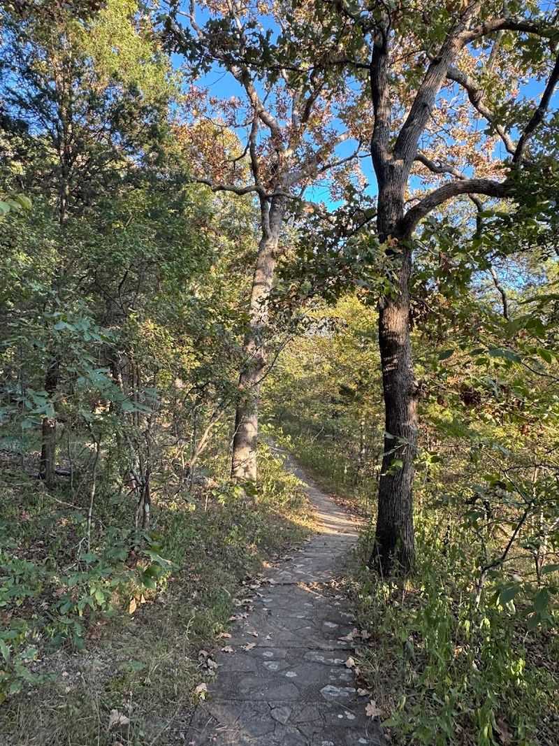 A Trail That Is Surprisingly Beginner-Friendly