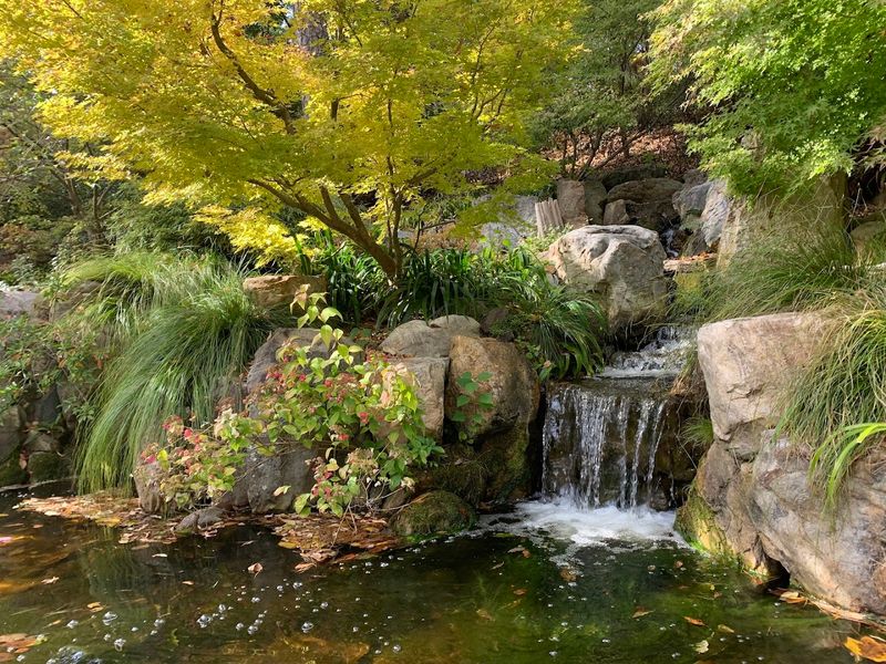 A Truly Zen Atmosphere That Melts Away Everyday Stress A Truly Zen Atmosphere That Melts Away Everyday Stress