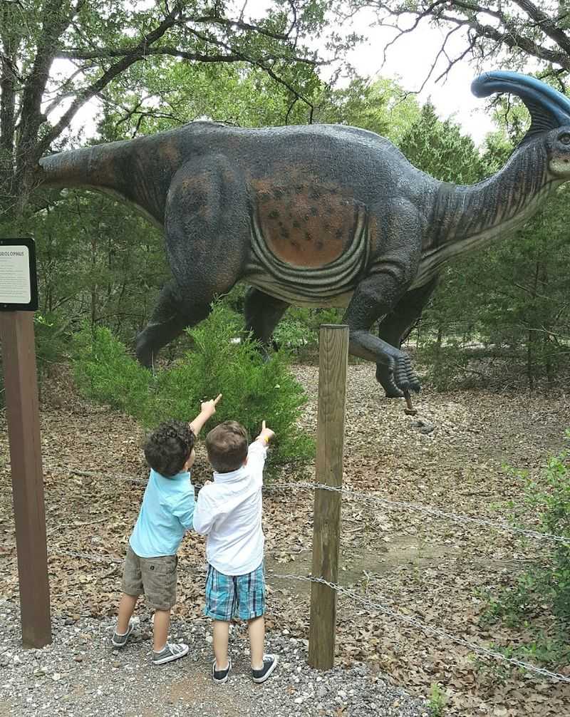 A Walking Trail Full of Discovery and Wonder