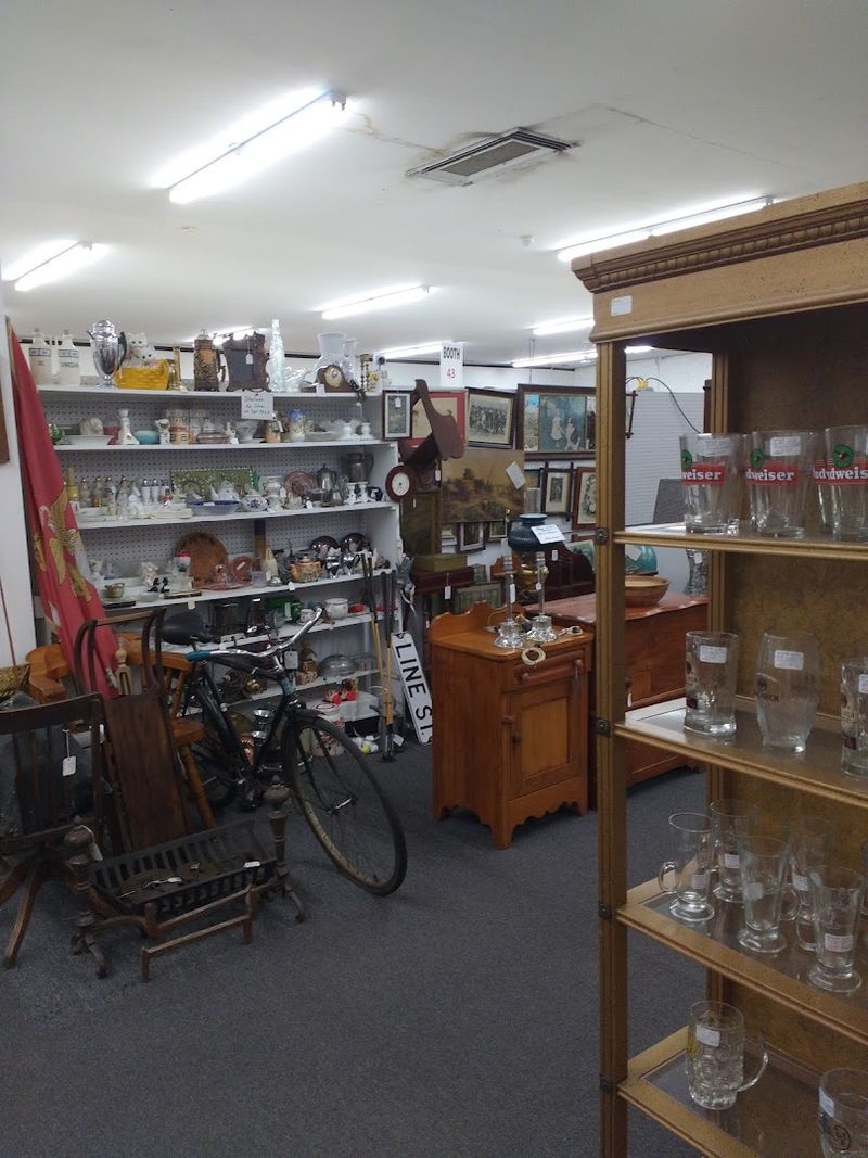 A Welcoming Spot for Both Beginners and Seasoned Collectors