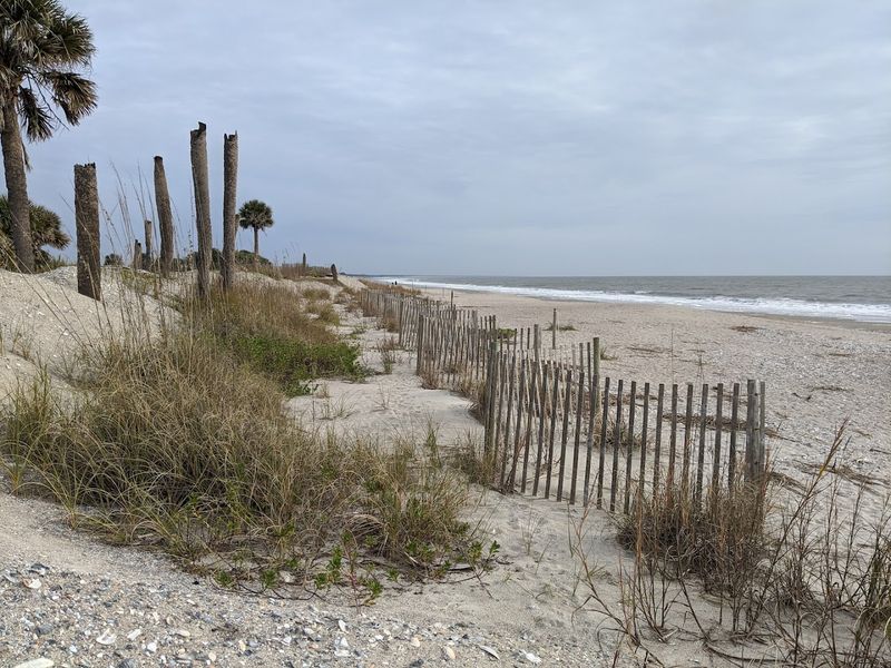 A Wild, Shell-Covered Beach Unlike Any Resort Shoreline