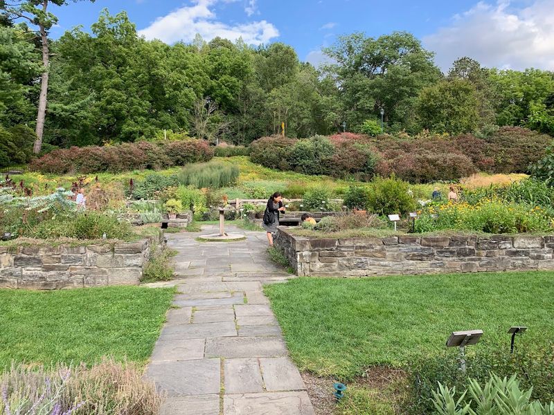 A Wildflower Garden Celebrating Native Beauty