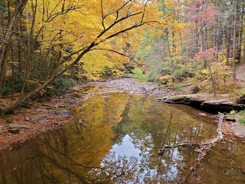 A Year-Round Destination for Every Season