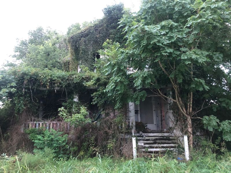 Abandoned St. Mary's Park: Nature's Slow Takeover