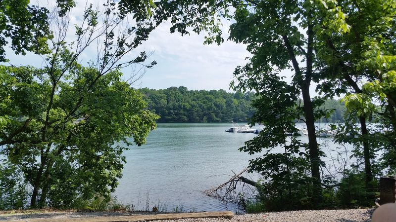 Abrams Creek and Waterfall Hikes