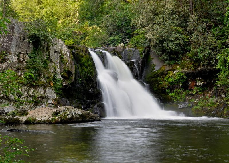 Abrams Falls: A Rewarding Hike With a Spectacular Payoff