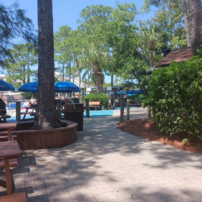 Accessibility and Comfort Features Throughout the Park Accessibility and Comfort Features Throughout the Park