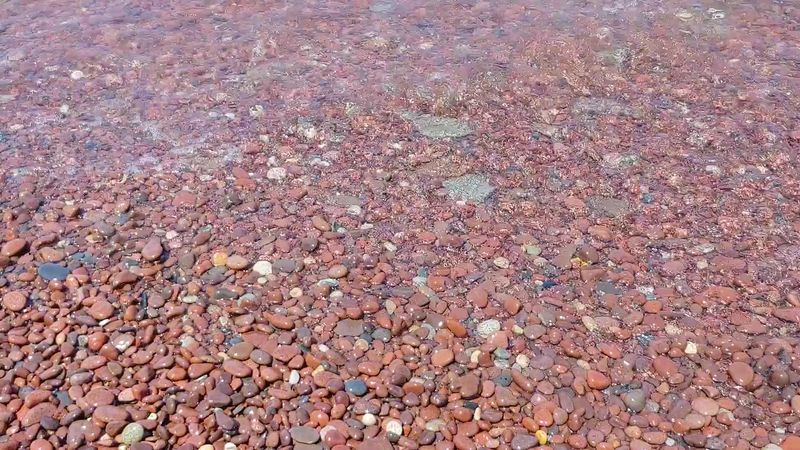 Agate Hunting Along the Shoreline