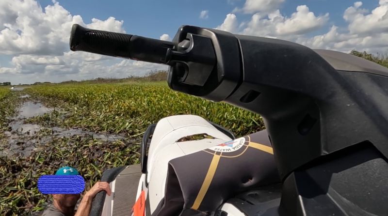 Airboat Tours and Outdoor Adventures on a Budget