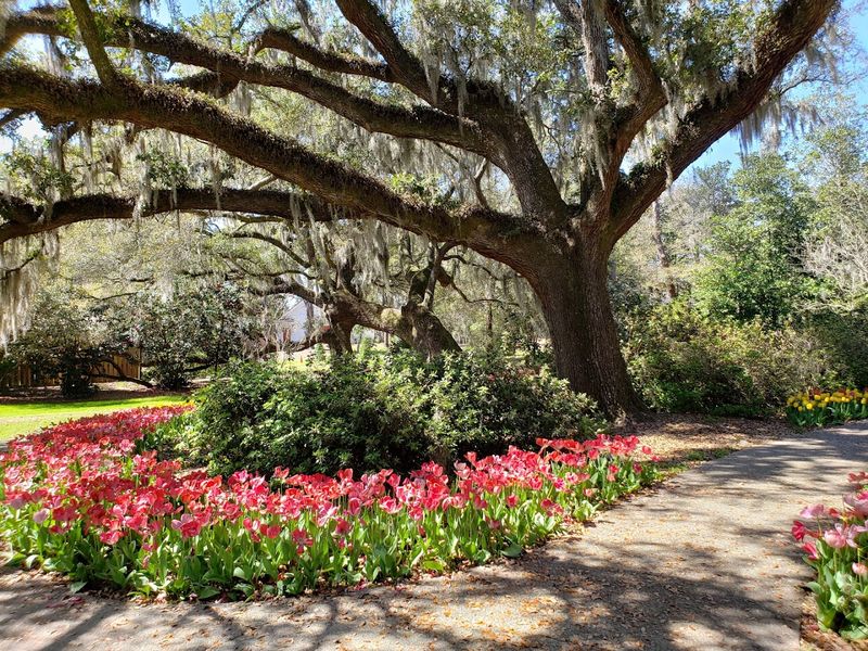 Airlie Gardens - Wilmington, North Carolina