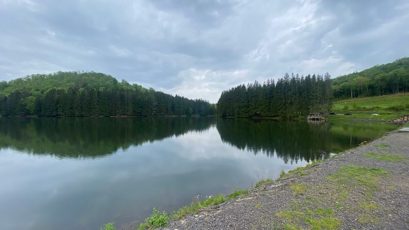Allegheny National Forest Adventures