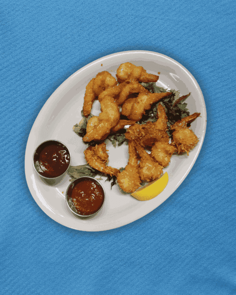 Alligator Bites That Will Totally Surprise You
