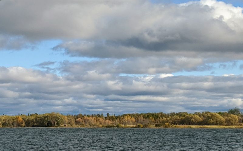 Aloha State Park: A Hidden Gem on Mullett Lake