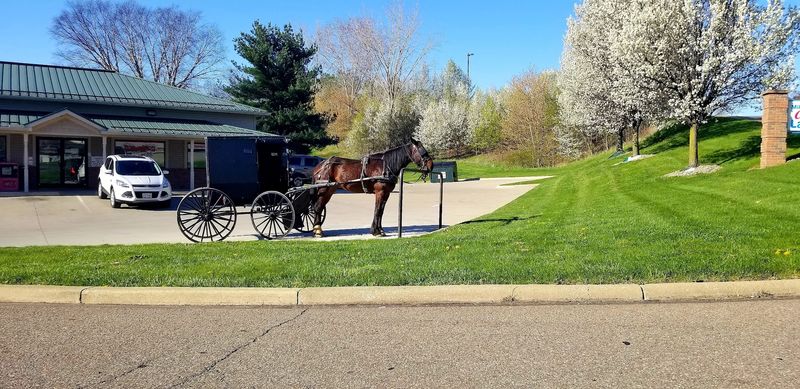 Amish Quilt Shops