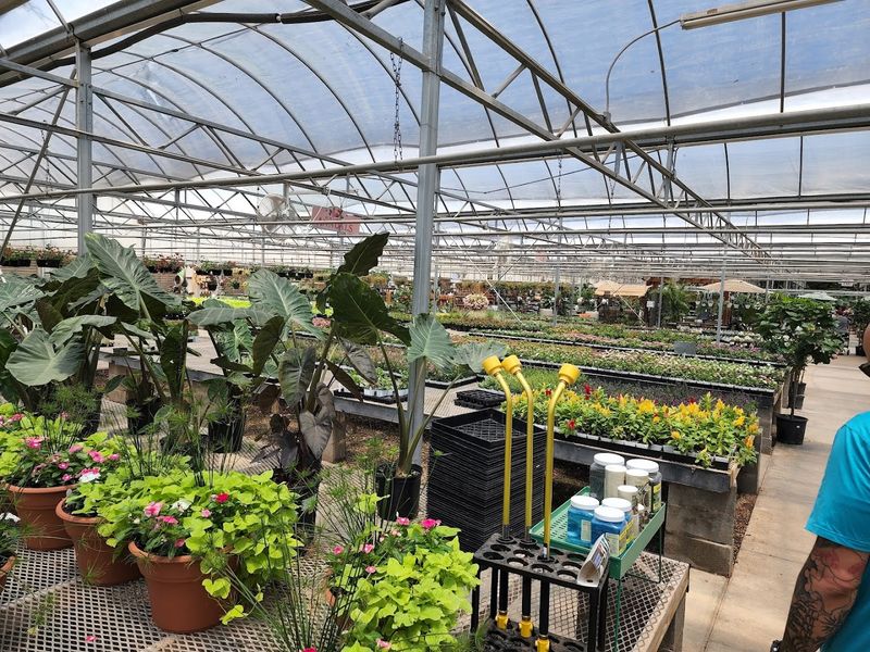 An Enormous Plant Selection That Rivals Big-City Nurseries An Enormous Plant Selection That Rivals Big-City Nurseries