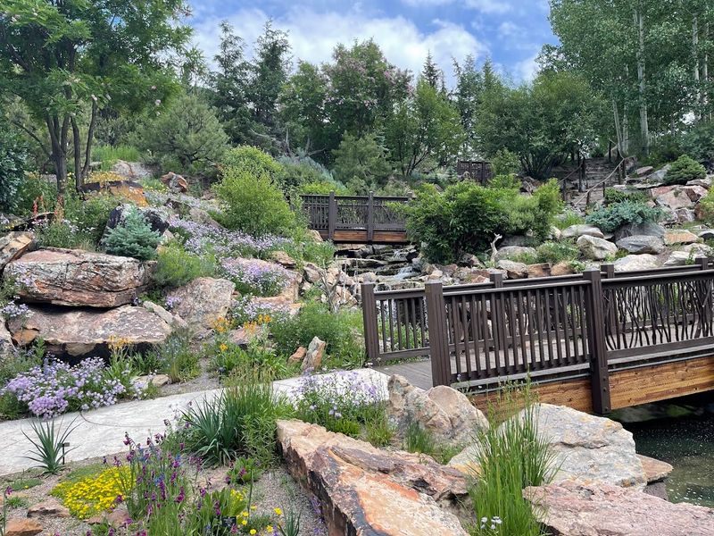 An Incredible Variety of Alpine Plants and Flowers