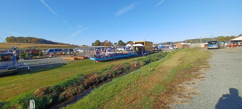 An Outdoor Market That Feels Like a Treasure Hunt